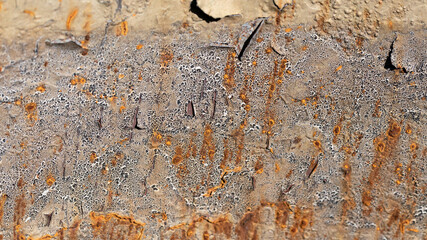 abstract grunge and cracking texture with paint flaking on rusty metal background