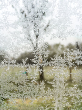 Patterns made by frost on window