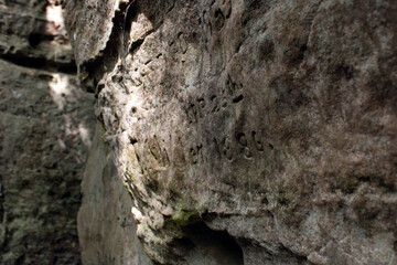 Stone texture