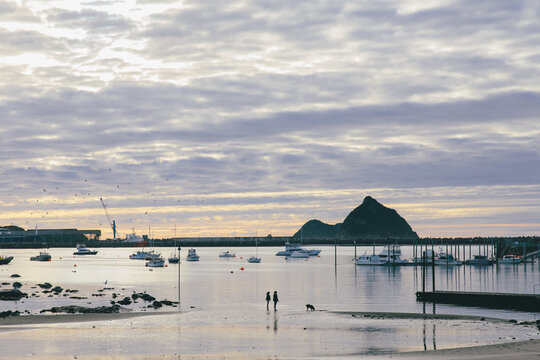 Two people walking with a dog on a pier
