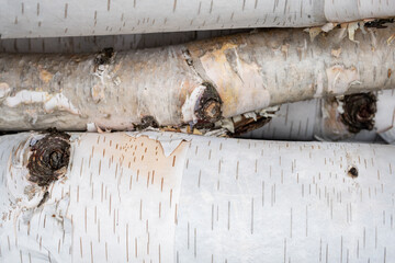 Birch bark-covered logs and branches