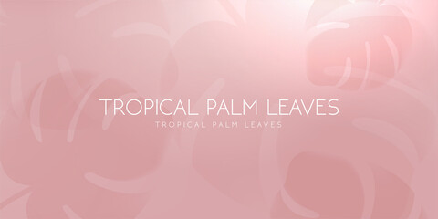 Tropical palm leaf shadow on light pastel background. vector illustration.