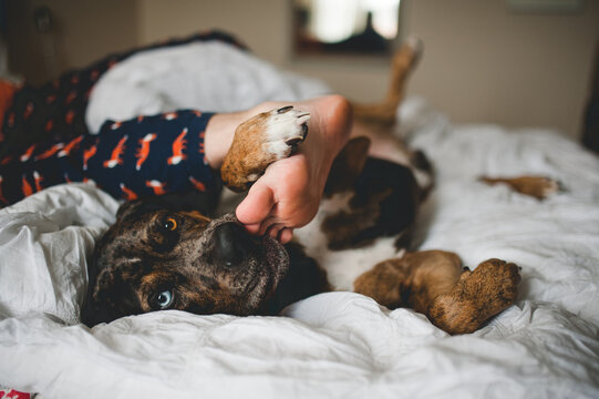 Tickle Tickle