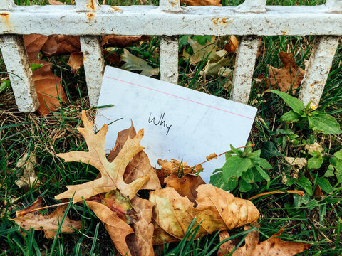Why"" written on a discarded index card on the ground with fall leaves by a metal fence