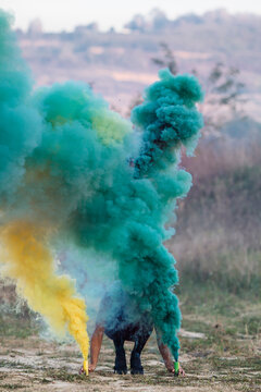 yellow and green,person with two smoke bombs in nature