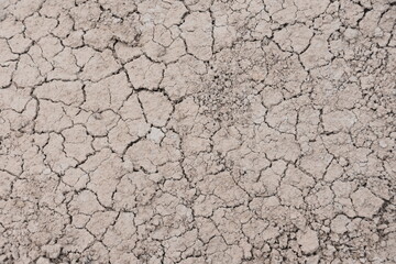 Cracked ground