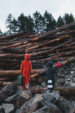 Kids dressed up like fox and raccoon staring at pile of clearcut logs