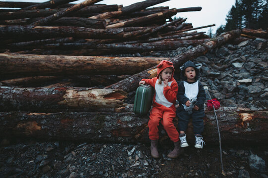 Kids dressed up like fox and raccoon sitting sadly on pile of clearcut logs