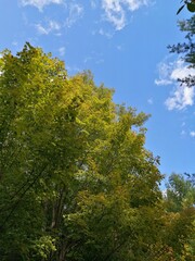 canada national urban park,beautiful nature