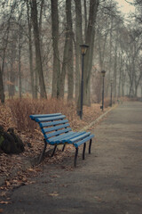 Fototapeta na wymiar Landscape. Photo of a Park bench on a foggy morning.