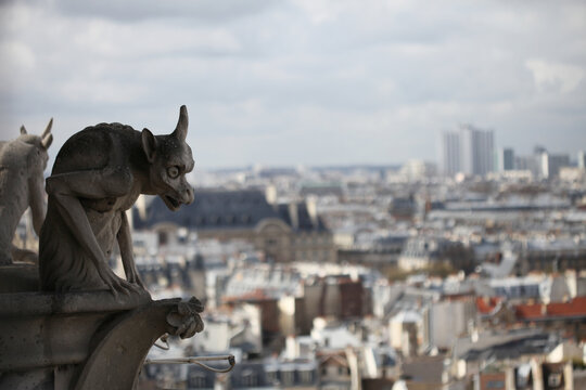 A Notre Dame Cathedral Gargoyle Looking Down Over Paris France