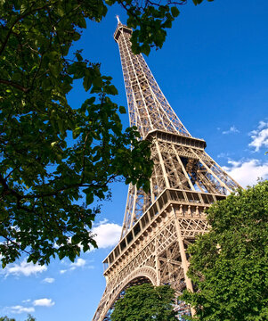 Eiffel Tower and Green Trees