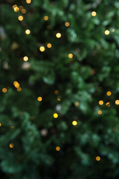 Christmas lights