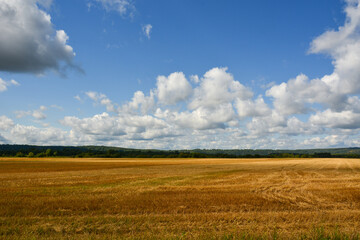 Beautiful autumn landscape, yellow mown field, rain clouds in the sky