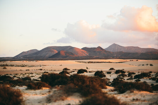 Desert landscape with mountains at sunset