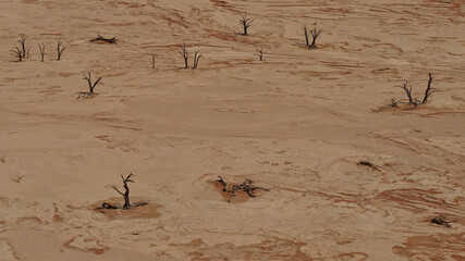 Aerial view of Deadvlei pan with dead trees on dried out ground near Sossusvlei, Namib desert, Namibia, Africa.