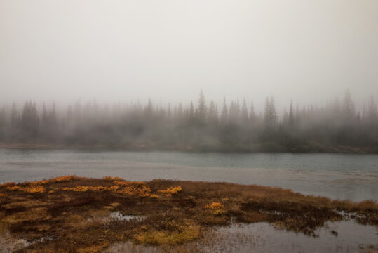 foggy lake in Mount Rainer national park Washington