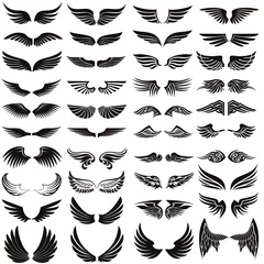Foto op Plexiglas Angel wings icon vector set. fly illustration sign collection. pilot symbol. © Denys