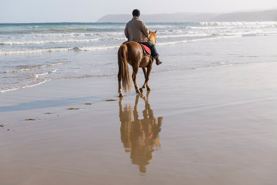 Rear view of senior male riding horseback in shorebreak with reflection on wet sand