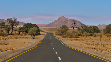Funny crooked paved road to Sossusvlei in Namib desert, Namibia, Africa with some dry bushes and...