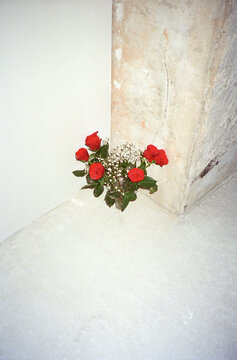 Red roses