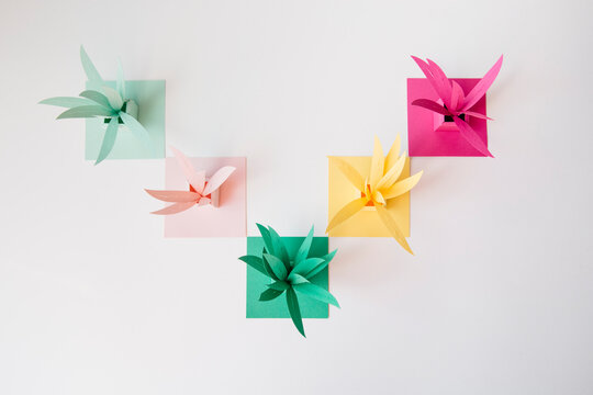 Colourful cardboard plants arranged in a V shape captured from above