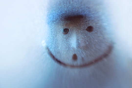 Funny Frozen Face!