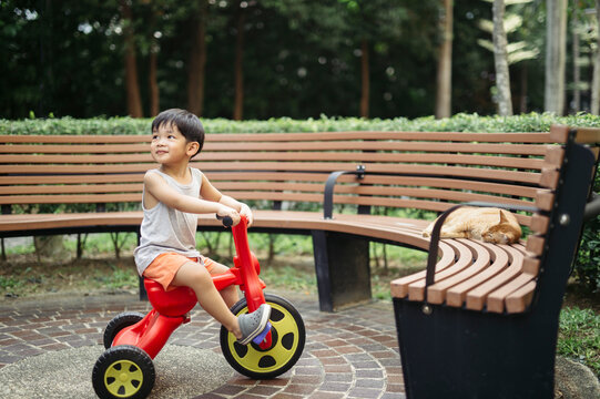 Little boy at the garden stumbles on a sleepy cat