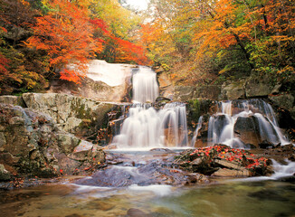 valley in Autumn