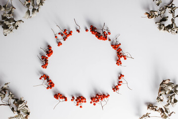 Christmas rowan circle with leaves on white background