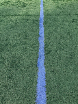 Blue boundary line on artificial turf sports field