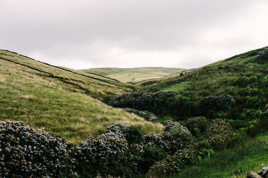 Azores Landscape