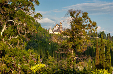 A wild, lush clump of giant eucalyptus and cypress trees drenched in the sun. The temples of the monastery are visible in the distance. New Athos, Abkhazia. © Aleksandr