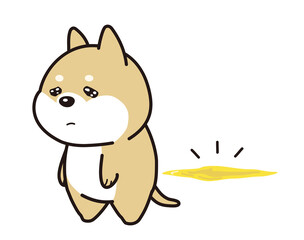 おしっこに失敗をして落ち込む子犬