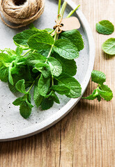 Fresh green mint leaves in the plate