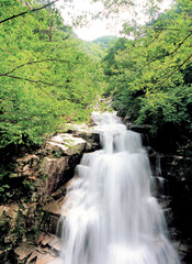 flowing stream in the mountain river