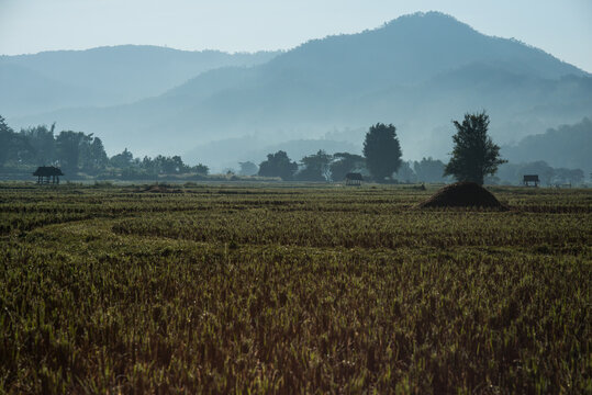 Silent place.