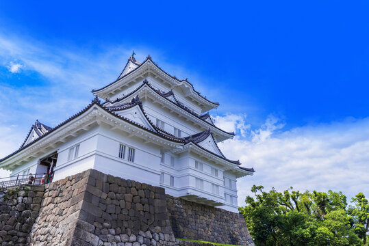 1 1 件の最適な 小田原城 画像 ストック写真 ベクター Adobe Stock