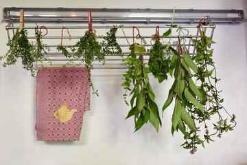Kräuter und Gewürze aus dem eigenen Garten trocknen, Kräuter hängen an Trockengestell vor weißer Wand und rotem Geschirrtuch mit gelber Teekanne