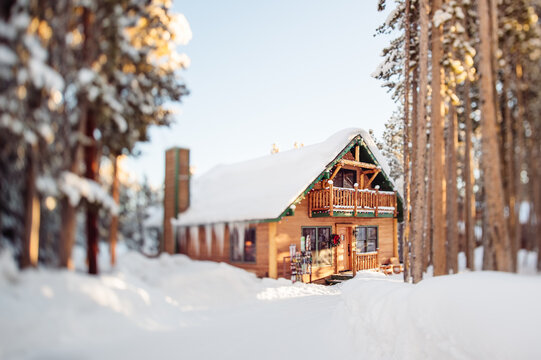 Small cabin in the snow covered woods on a sunny morning after a storm