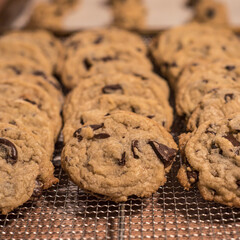 chocolate chip cookies