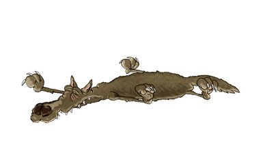 Wolf hide in the form of a carpet. Isolated cartoon illustration on a white background.