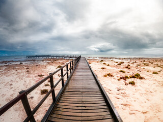 Stromatolites in Hamelin Pool, Western Australia. 