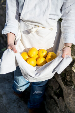Girl carring Lemons in her linen apron