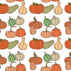wallpaper of different kinds of pumpkins on a white background for autumn