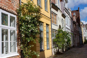 Fototapeta na wymiar Altstadt Lübeck Gassen Blumen