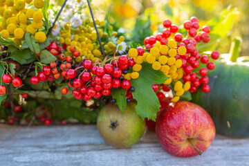 Obraz na płótnie Canvas Autumn harvest on the table in the garden. Autumn still life.