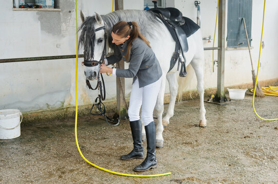 Horsewoman adjusting horse's rein