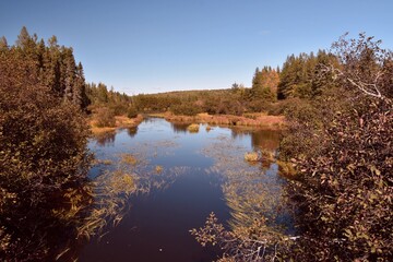 Little river with fall colors in Canadian forest, Quebec