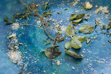 Greek blue ceramic plate filled with oregano and salt and bread crumbs 